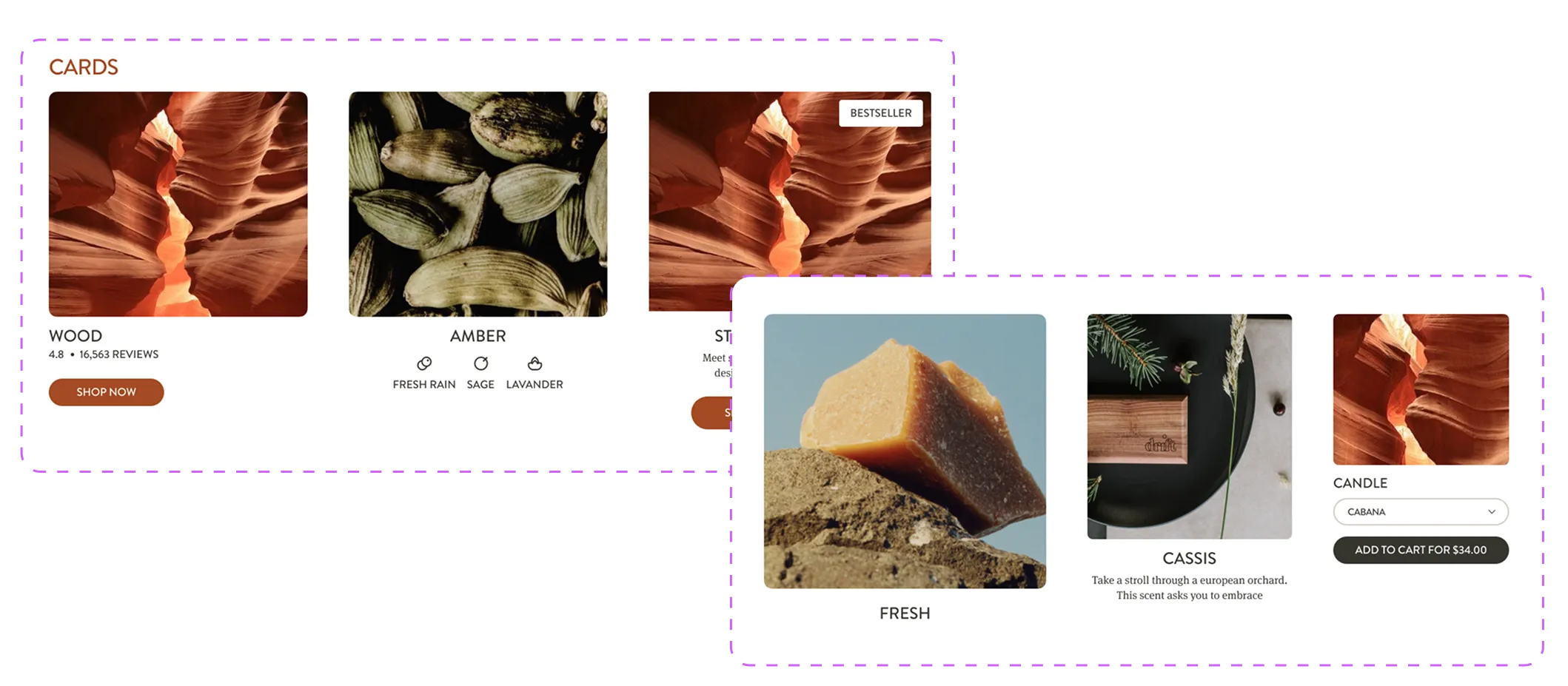 Premiers composants du design system