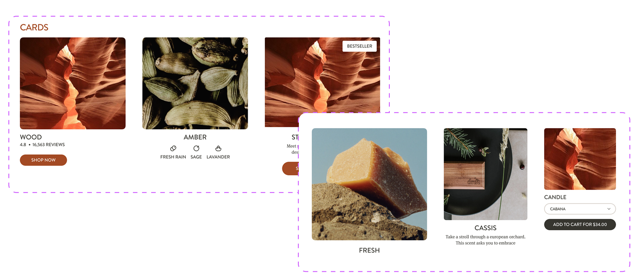Premiers composants du design system